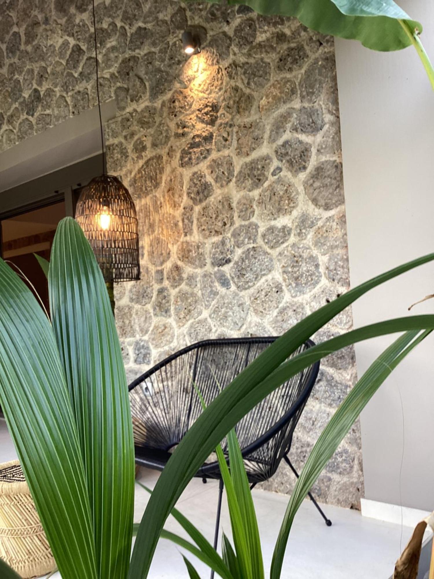 Villa Tartaya Δασιά Εξωτερικό φωτογραφία